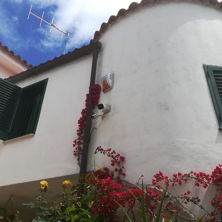 Casa Masseria Le Ville Peschici Bagian luar foto