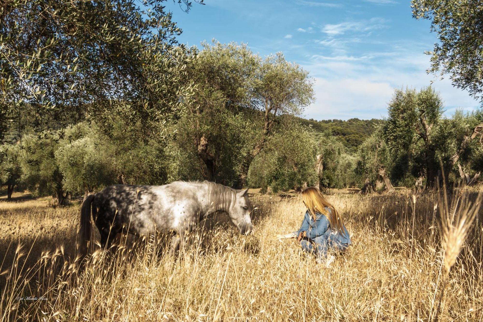 Casa Masseria Le Ville Peschici Bagian luar foto